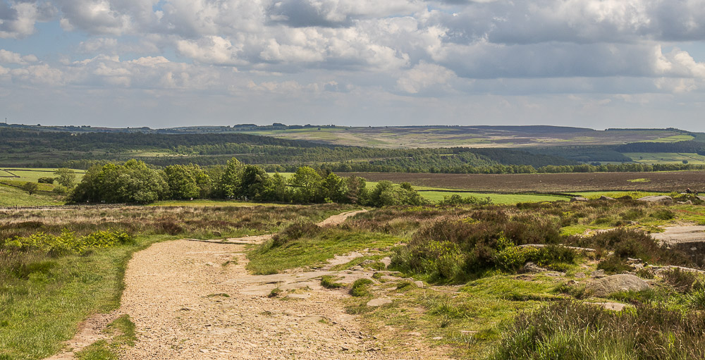 Gibbet Moor